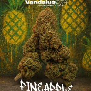 Flor CBD Vandalus CBD Pineapple