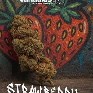 Flor Vandalus CBD - Strawberry 5g